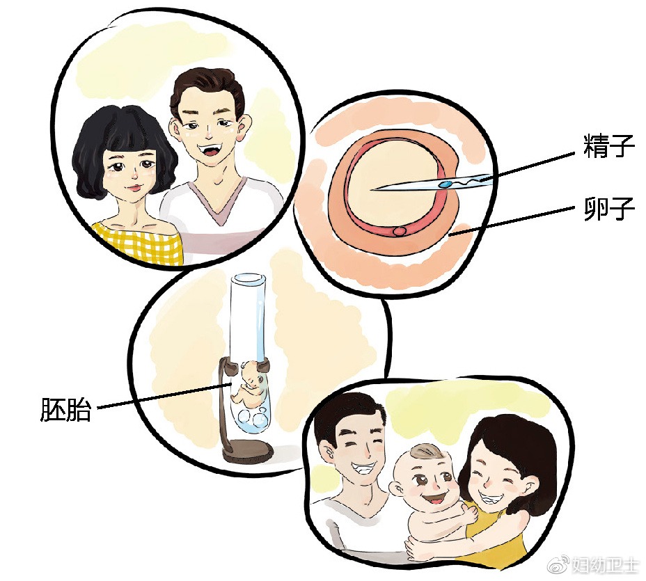 国内捐卵机构公司