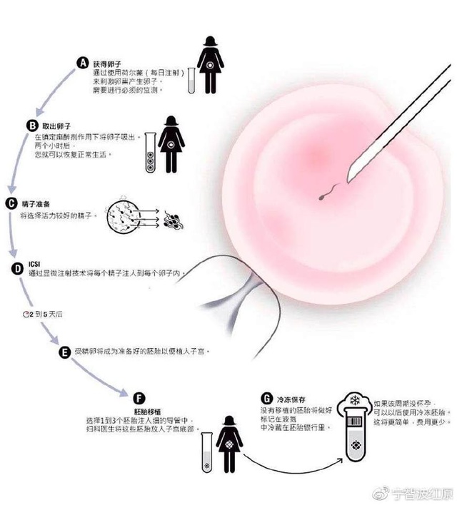 清宫表2012生男生女图