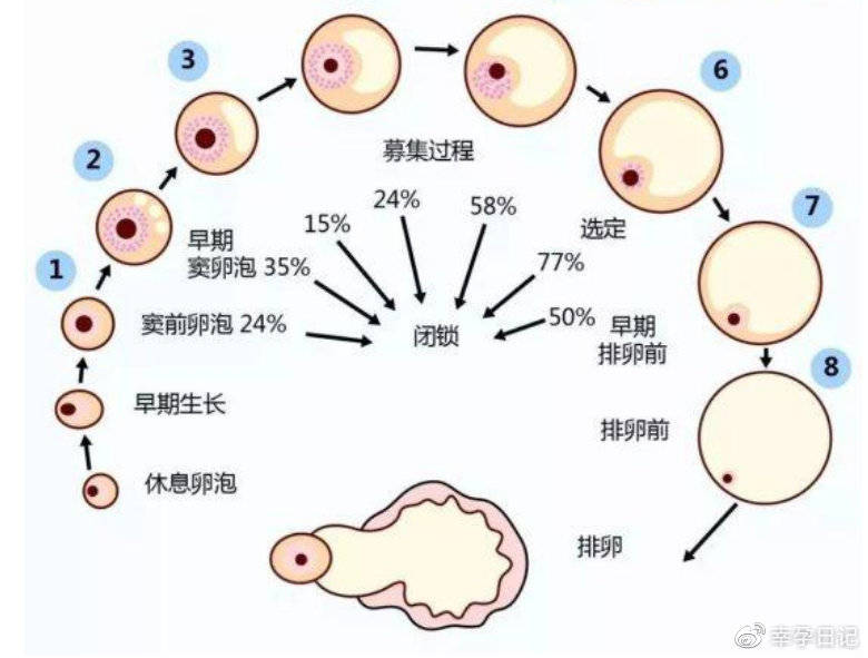 捐卵补偿