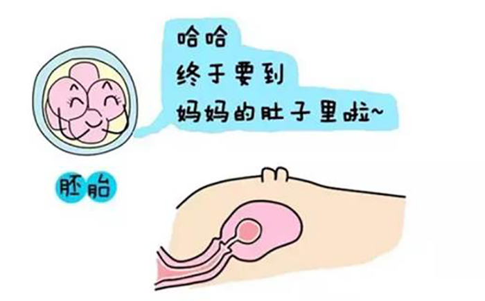 清宫表
