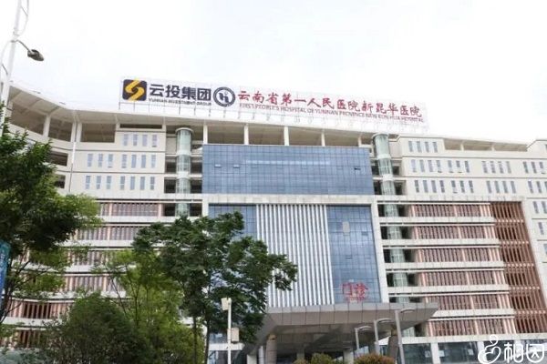捐卵工作