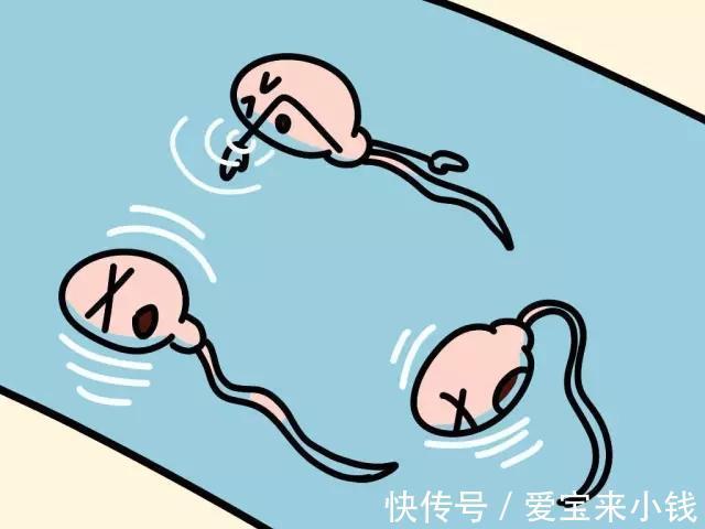 捐卵试管婴儿