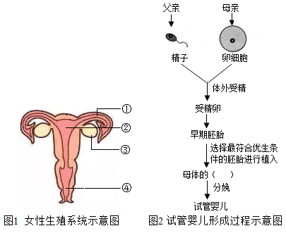 2019清宫表