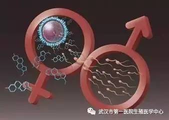 重庆定居