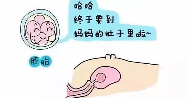 肇庆捐卵试管生男孩